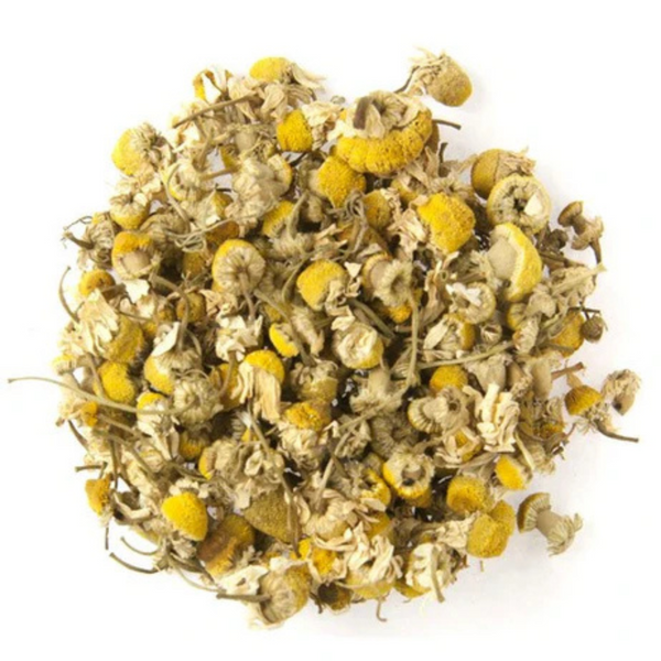 Egyptian Chamomile